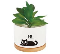 craspire Pots de Fleurs en Céramique Blanche et Chat Noir Joli Pot de Fleurs pour Plantes Succulentes Cactus Fleurs Porcelaine Plateau en Bois Trou de Drainage Décoration pour la Maison Le Bureau