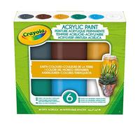 Crayola Acrylic Paint Couleurs De La Terre