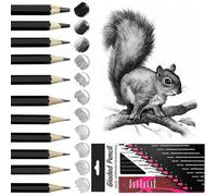 Crayon Papier 12pcs Crayon Dessin,2H H F HB B 2B 3B 4B 5B 6B 7B 8B Graphite pour Artistes,,Adultes,Dessins,Les Type 2 KIT DE DESSIN