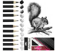 Crayon Papier 12pcs Crayon Dessin, 2H H F HB B 2B 3B 4B 5B 6B 7B 8B Graphite pour Artistes, Enfants, Adultes, Dessins, Les Amateurs de Croquis