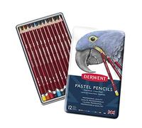 Crayons Pastel Derwent, Crayons de Dessin Pastel Doux, Boîte de 12, Faciles à Estomper et Offrant un Contrôle Précis