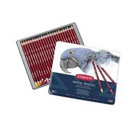 Crayons Pastels - Derwent - Set de 24 - Qualité Professionnelle - Teintes Douces - Aquarellables