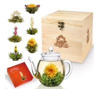 Creano Coffret Fleur de Thé avec Boîte en Bois - Théière en Verre 500ml sans goutte - 6 variétés de Thé Blanc - Idée cadeau luxe - Thé en Fleurs