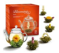 Creano Coffret „Récolte de Printemps“ 6 fleurs de thé - Théière en verre 500ml sans goutte - 6 variétés de thé blanc - Idée cadeau exceptionnelle - Verre borosilicate - Thé en Fleurs