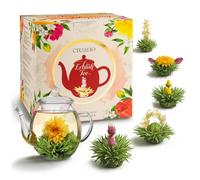 Creano Coffret Thé en Floraison - FLOWER DESIGN - Théière en Verre 500ml & 6 Fleurs de Thé Blanc - Qualité First Flush (Première Récolte) - Nouveau Design Floral - Cadeau de Luxe