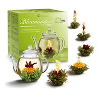 Creano „Fleurs de Thé“ Verts 6 pcs - Théière en Verre 500ml sans goutte - 6 variétés de thé vert aromatisé - Idée cadeau femme