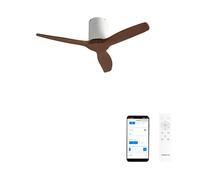 WIND CALM - Ventilateur De Plafond Silencieux 40W Avec Pales Techniques En ABS De Différentes Tailles Sans Lumière