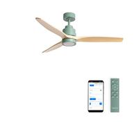 CREATE / WINDSTYLANCE M/Ventilateur de plafond ABS avec lumière verte sage pales effet bois naturel avec Wifi et télécommande / 40 W, silencieux, Ø132 cm, minuteur, été-hiver, double hauteur