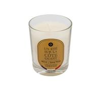 Atmosphera Bougie parfumée Nibi Monoï et Ylang-Ylang 180 g