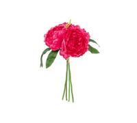 Bouquet de Fleurs 4 Pivoines 30cm Rose Blush
