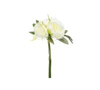 But Bouquet Pivoine Blanc