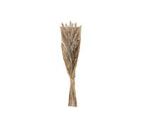 Atmosphera Bouquet de fleurs séchées «Ori» blanc ivoire H58 cm
