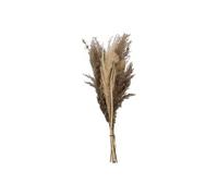 Atmosphera - Bouquet de pampas séchées Ori - blanc ivoire - H58 cm