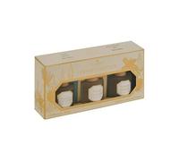 Créateur d'intérieur - Coffret Senteur 3 Diffuseurs "Elise" 45ml Multicolore