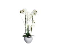 Orchidée artificielle vase céramique blanc H53cm - Atmosphera Créateur d'intérieur