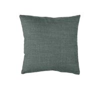Créateur d'intérieur - Coussin Déco "Clem" 40x40cm Vert Tilleul