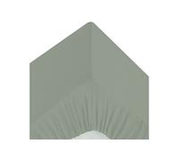 Créateur d'intérieur - Drap Housse 2 Personnes Percale 140x190cm Vert Tilleul