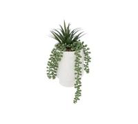 Plante Artificielle en Pot Visage 25cm Blanc