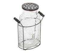 Creative Co-op Vase en Verre sur Support en métal avec Couvercle Grenouille en métal