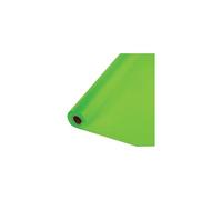 Creative Converting 318895 Plastic Table Cover Banquet Roll, 100 ', Menthe Fraîche