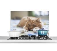 Credence Chat - Lit - Couvre-lit - Filles - Enfants - Enfants - Enfant Fond de hotte 90x60 cm Credence aluminium Plaque inox de cuisine