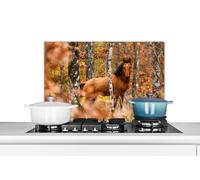 Credence Cheval - Forêt - Marron Fond de hotte 60x40 cm Credence aluminium Plaque inox de cuisine