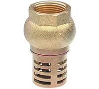 Crépine à clapet femelle F1' (26x34) NOYON & THIEBAULT - 1320-26L1 G