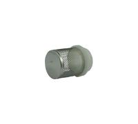 Crépine de Filtration seule pour Pompe et Cuve | Standard ISO 228-1 - 2''