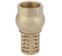 Crépine laiton femelle 26x34 de filtration | Boutté | Filtration