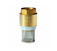 Crépine laiton filtre inox Femelle 1""1/2