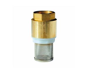 Crépine laiton filtre inox Femelle 1""1/2