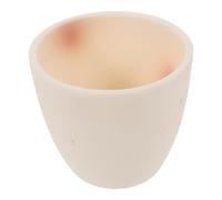 Creuset en Céramique D'alumine 40ml pour Analyses et Expériences