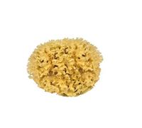 Croll & Denecke M130 Éponge naturelle de la mer Méditerranée 13 cm