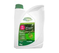 CROQ'MOUSSE des gazons - Engrais liquide - Pelouse « sans mousse/+verte/+dense » - bidon 2L - Traitement pour 200m2.