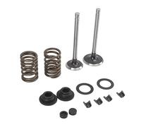 Cryfokt Pièces de Valve de Générateur, Kit Complet de Valve d'admission et d'échappement, Kit de Microtiller en Fer, Ensemble de Tige de 186F avec Clip de Verrouillage de Rondelle à Ressort pour