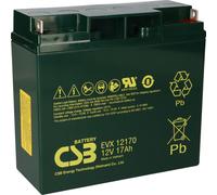 CSB-EVX12170 Batterie au plomb 12V 17Ah AGM sans entretien M5 pôle plat