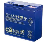 CSB Pb batterie de secours VRLA AGM 12V/24Ah 6-DZM-20 (EVH12240)