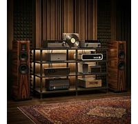 CTSSWMWY Meuble HiFi, Support Audio Ouvert à 1/2/3/4 Niveaux Double Module avec Cadre métallique et tablettes en Bois pour Salon, cinéma Maison et Studio d’Enregistrement