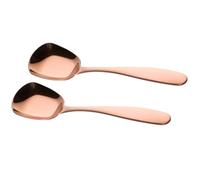 Cuillère à Soupe à Fond Plat Poli 2 Pièces en Acier Inoxydable 304 | École et Maison, Poignée Droite Légèrement Courbée, Grosse Capacité, Facile à Nettoyer, Passe au Lave-vaisselle