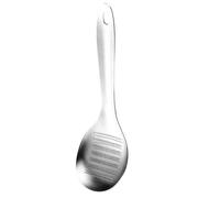Cuillère broyeur d'ail et gingembre en acier inoxydable - Outil de broyage manuel multifonction en acier inoxydable | Râpe à gingembre - pour cuisine, pâtisserie, cuisine, vacances, camping
