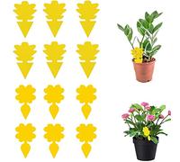 Cuisine 20 Pcs Attrape Moucheron Anti Moucherons Interieur Piege Sticky | Bug Catchers for Houseplants Garden Flowers