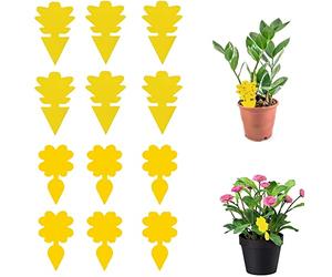 Cuisine 20 Pcs Attrape Moucheron Anti Moucherons Interieur Piege Sticky | Bug Catchers for Houseplants Garden Flowers