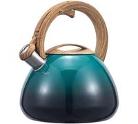 Cuisine de la flûte - Théière Plaque de cuisson - Eau de cuisson - Acier inoxydable - 2,5 Litre - Vert