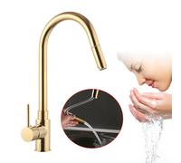 Cuisine moderne Robinet de cuisine extractible avec bac à douche Robinet pivotant à 360 ° Mitigeur Cuisine Or Brossé