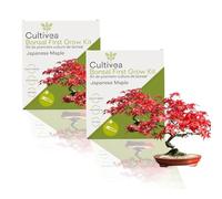 CULTIVEA® 2 x Kit First Bonsai- Kit de première culture de Bonsaï - Prêt à Pousser avec Graines & Accessoires - Idée Cadeau Jardinage (Japanese Mapple)