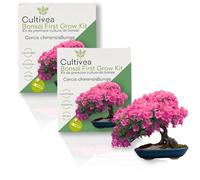 CULTIVEA® 2 x Kit First Bonsai- Kit de première culture de Bonsaï - Prêt à Pousser avec Graines & Accessoires - Idée Cadeau Jardinage | Made In France (Cercis Chinensis)