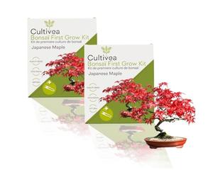 CULTIVEA® 2 x Kit First Bonsai- Kit de première culture de Bonsaï - Prêt à Pousser avec Graines & Accessoires - Idée Cadeau Jardinage (Japanese Mapple)
