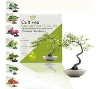 Cultivea - Kit First Bonsai Hackberry - Idée Cadeau Original G