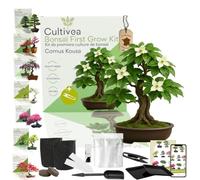 CULTIVEA® Kit First Bonsai- Kit de première culture de Bonsaï - Prêt à Pousser avec Graines & Accessoires - Idée Cadeau Jardinage (Cornus Kousa)