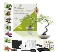 CULTIVEA® Kit First Bonsai- Kit de première culture de Bonsaï - Prêt à Pousser avec Graines & Accessoires - Idée Cadeau Jardinage (Chinese Hackberry)